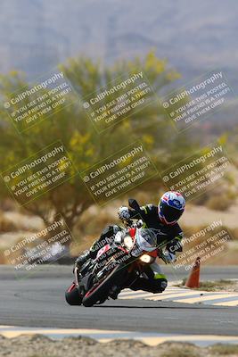 media/Apr-10-2022-SoCal Trackdays (Sun) [[f104b12566]]/Turn 5 Tree of Life (1040am)/